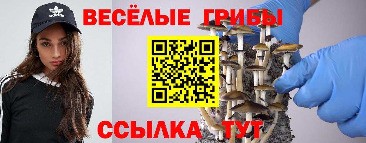 Заводоуковск  Псилоцибиновые грибы GOLDEN TEACHER  Псилоцибиновые грибы мухоморы  Вход с VPN 